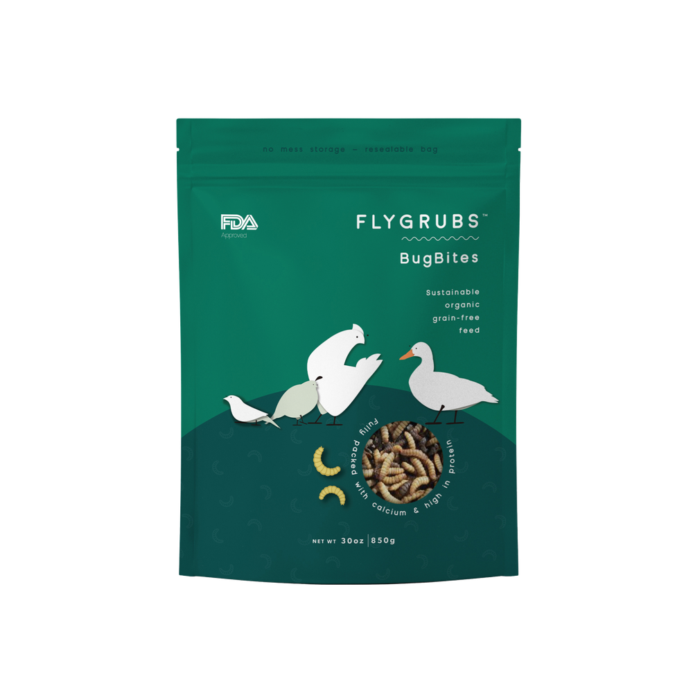BugBites: 50/50 Mix of Dried Meal Worms and BSFL for Chickens - 30 oz