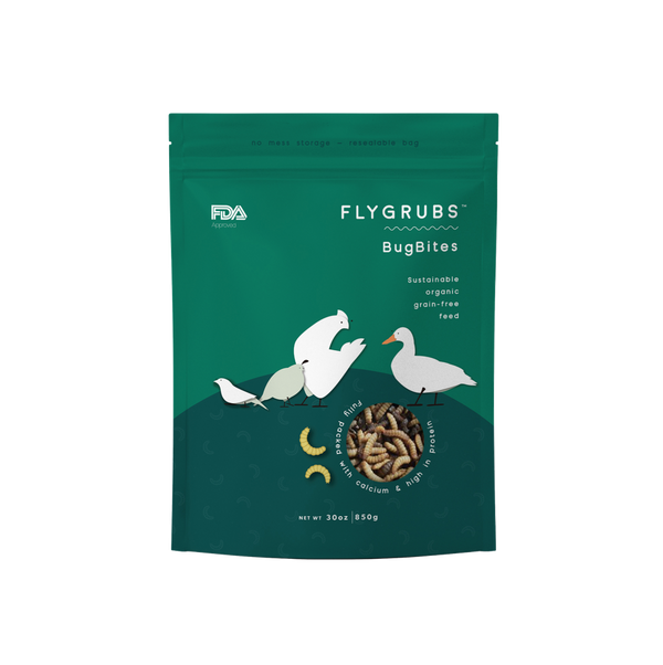 BugBites: 50/50 Mix of Dried Meal Worms and BSFL for Chickens - 30 oz-FLYGRUBS®