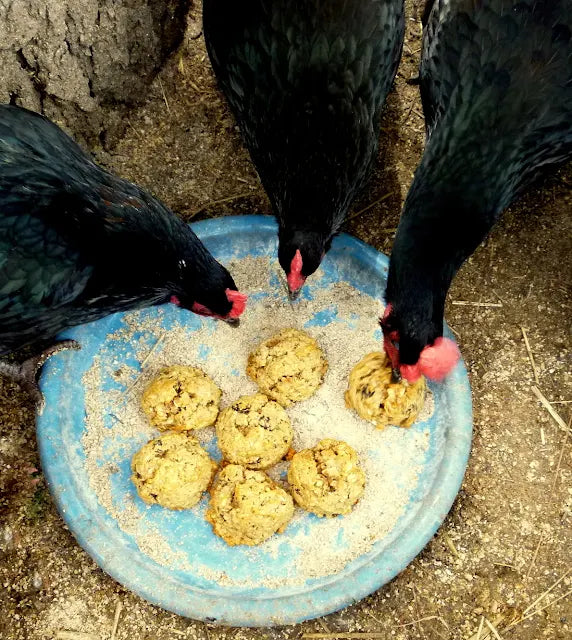 DIY Chicken Treats