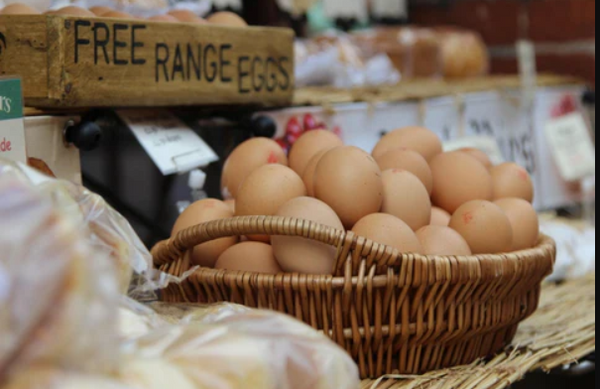 Free-Range eggs